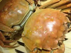 -赤甲皇(仙霞路店)