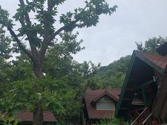 -北京水岸山吧度假村(雁栖镇店)