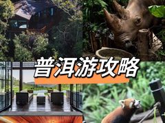 -普洱太阳河森林公园