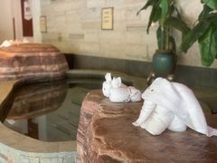 -天目湖涵田半山温泉