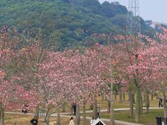 -风云岭森林公园