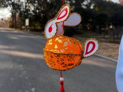 -东湖落雁景区