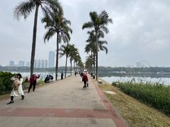 -南宁南湖公园