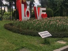 -东风公园