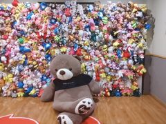 -重庆南山海昌汤都