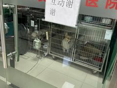-利又安动物医院··老年病·猫科犬科·中兽医