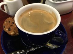 -bluefrog蓝蛙(水游城店)