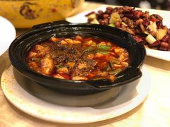 -陈麻婆豆腐总店
