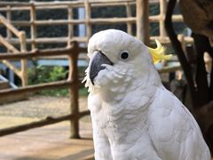 -合肥野生动物园