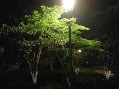 -江墅铁路遗址公园