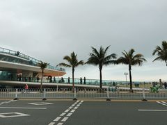 -爱情邮局