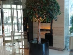 -上海龙之梦万丽酒店