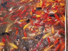 -泰安地下龙宫景区