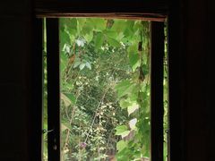 -斯多格书乡(北京大学畅春园店)