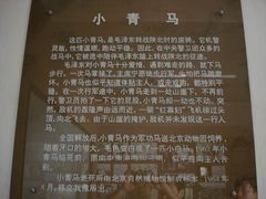 -延安杨家岭革命旧址