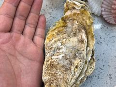 -仙螺岛海鲜自助餐厅(总店)