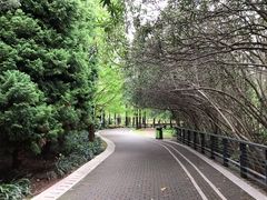 -苏州河梦清园环保主题公园