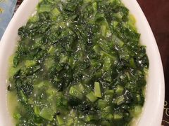 -糊涂兔毛毛菜(八里庄店)