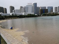 -五缘湾湿地公园