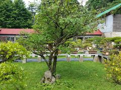 -庐山风景区花径公园