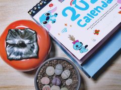 -秦美花卉(天朗·莱茵小城2期店)