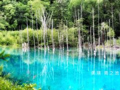 -青池