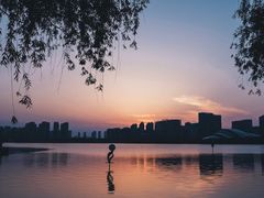 -天鹅湖体育公园