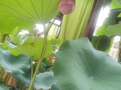 -聚福宝合苑食府(南头镇店)