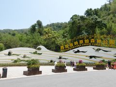 -西双版纳原始森林公园