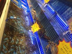 -必点海鲜·鲅鱼水饺(鞍山西道店)