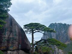 -黄山风景区