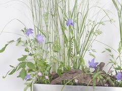 -荷兰布尔玛国际花艺学院