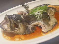 -曼格纳·曼芯馆(杨浦店)