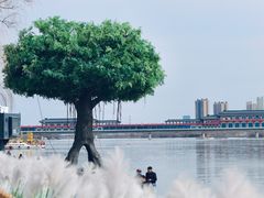 -咸阳湖景区