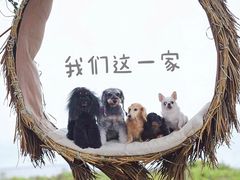 -御宝贝24h宠物医院·转诊中心·CT核磁血透中心(厦门总院)