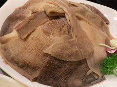 -清真军邺·金富苑肥牛(石坡街旗舰店)