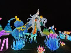 -武汉园博园(武汉自然博物馆)