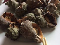 -东戴河风景区-止锚湾