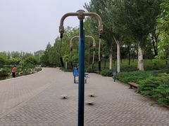 -大望京公园