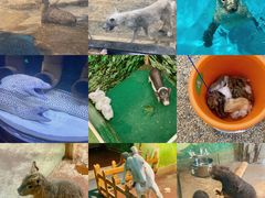 -梦幻海洋王国(吾悦广场张家港店)