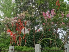 -烟台山景区