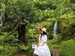 -Chom Cafe and Restaurant