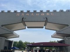 -洛阳市隋唐城遗址植物园