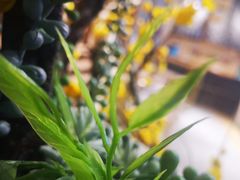 -I-YOU面缘·仁和新城店