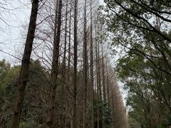 -同里国家湿地公园