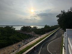 -宝安西湾红树林湿地公园