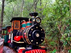 -九龙江国家森林公园