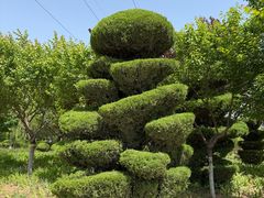 -石家庄市植物园