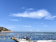 -枸杞岛