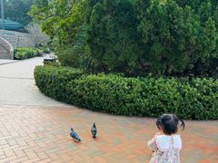 -九龙公园